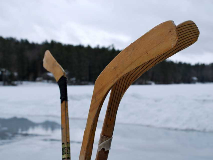 Lions de TroisRivieres vs. TerreNeuve Growlers, Feb 24th 300pm